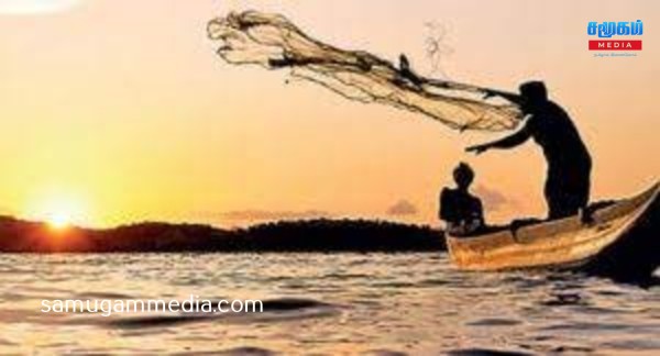 மீனவர் ஒருவர் பிடித்த சுறாவின் வயிற்றில் கண்ட அதிரவைத்த காட்சி...!SamugamMedia 
